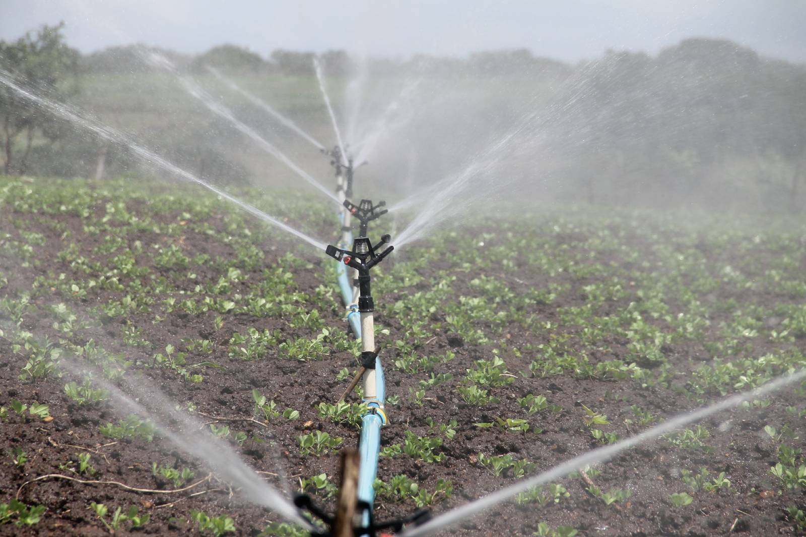Réalisation de forages pour l'irrigation en agriculture